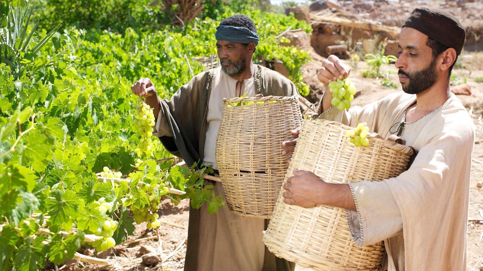 "Parábola del patrono que quería trabajo y pan para todos"