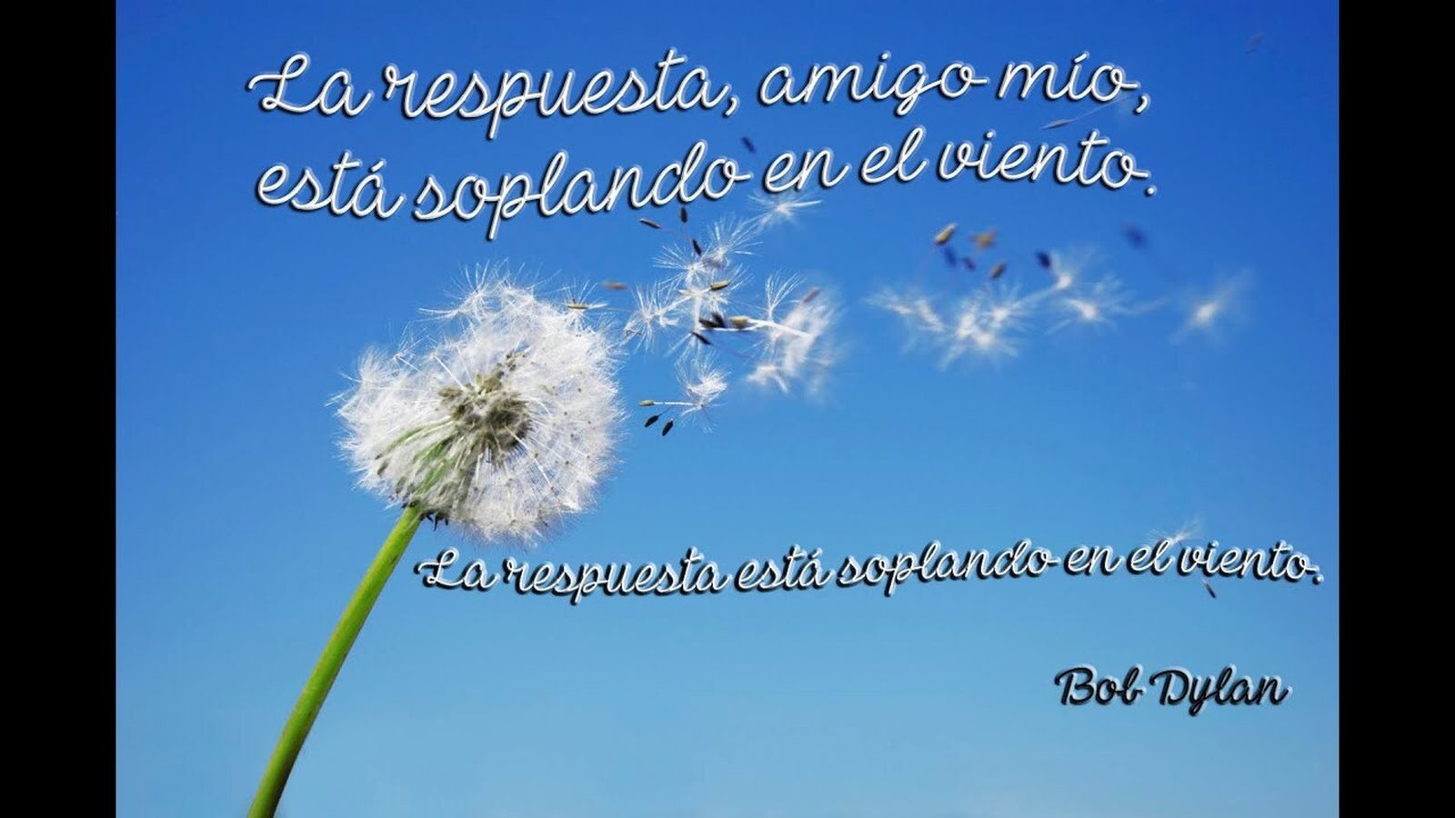 ¿Qué hubiera dicho Castillo?