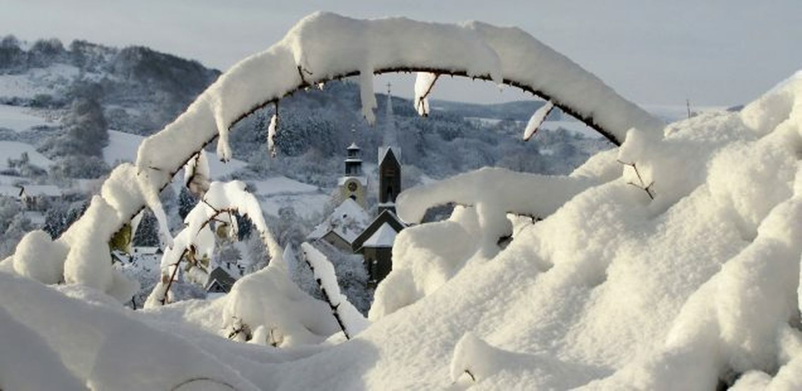 No tan "querida Amazonía"