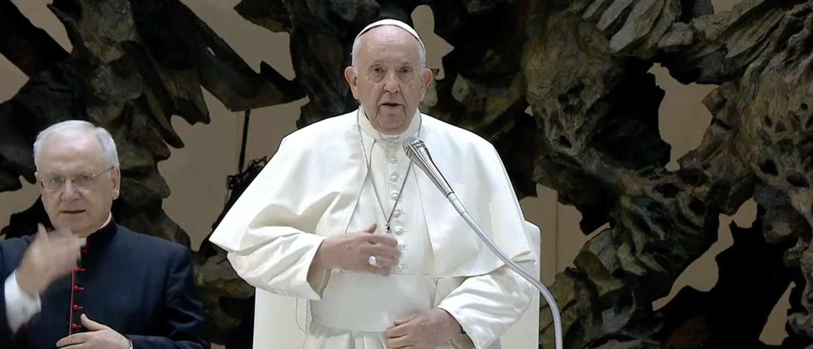 Francisco, durante la audiencia de hoy