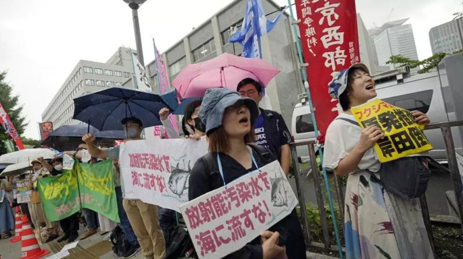 Protestas en Japón
