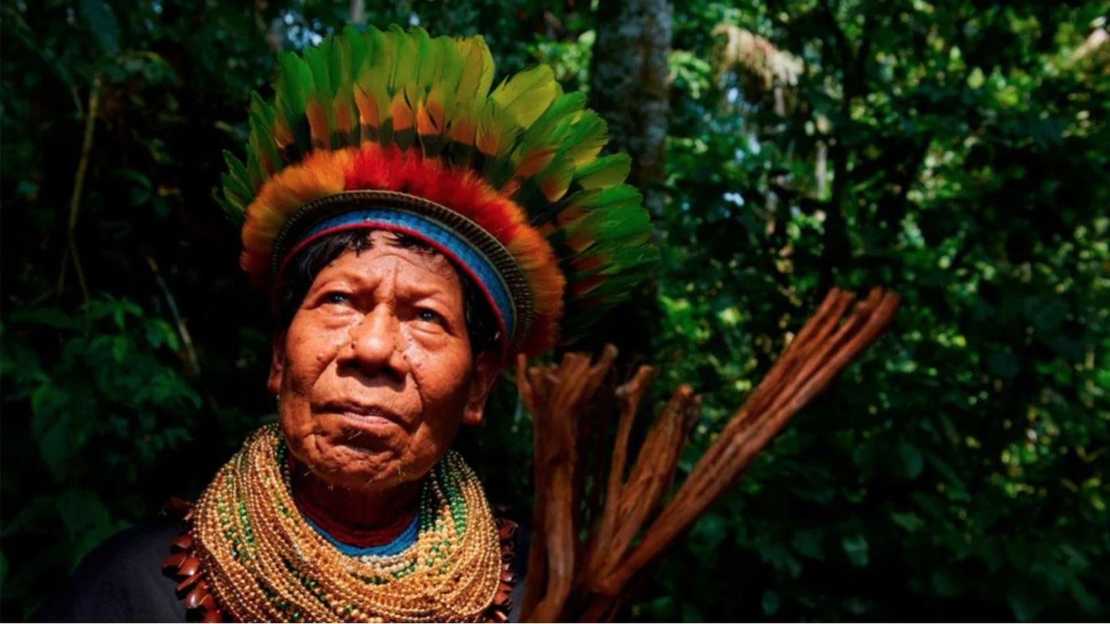 Sabiduría indígena