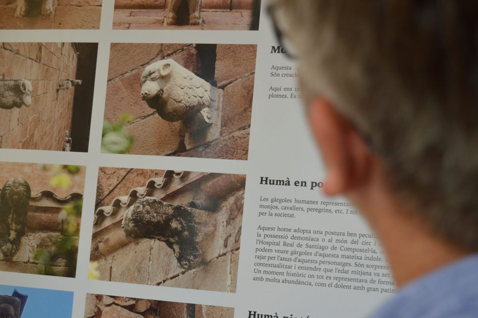 agenciaflama-gargolesalcover1