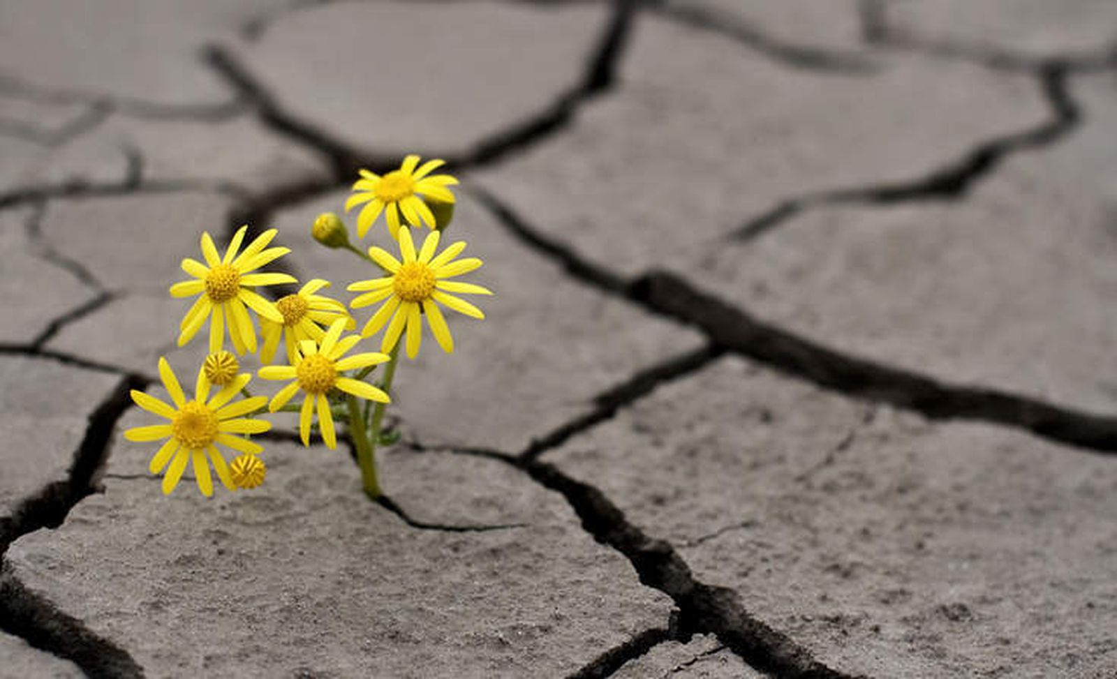 Aunque no veamos los frutos, los caminos se van abriendo