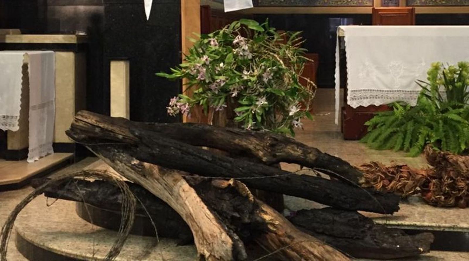 Maderas, naturaleza, en el funeral de Casaldàliga