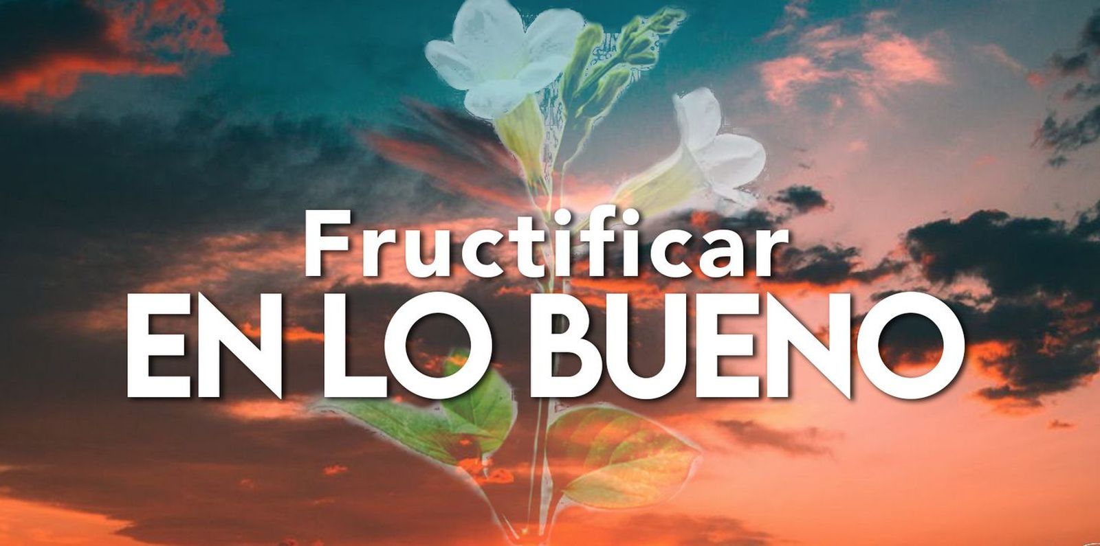 Fructificar en lo bueno