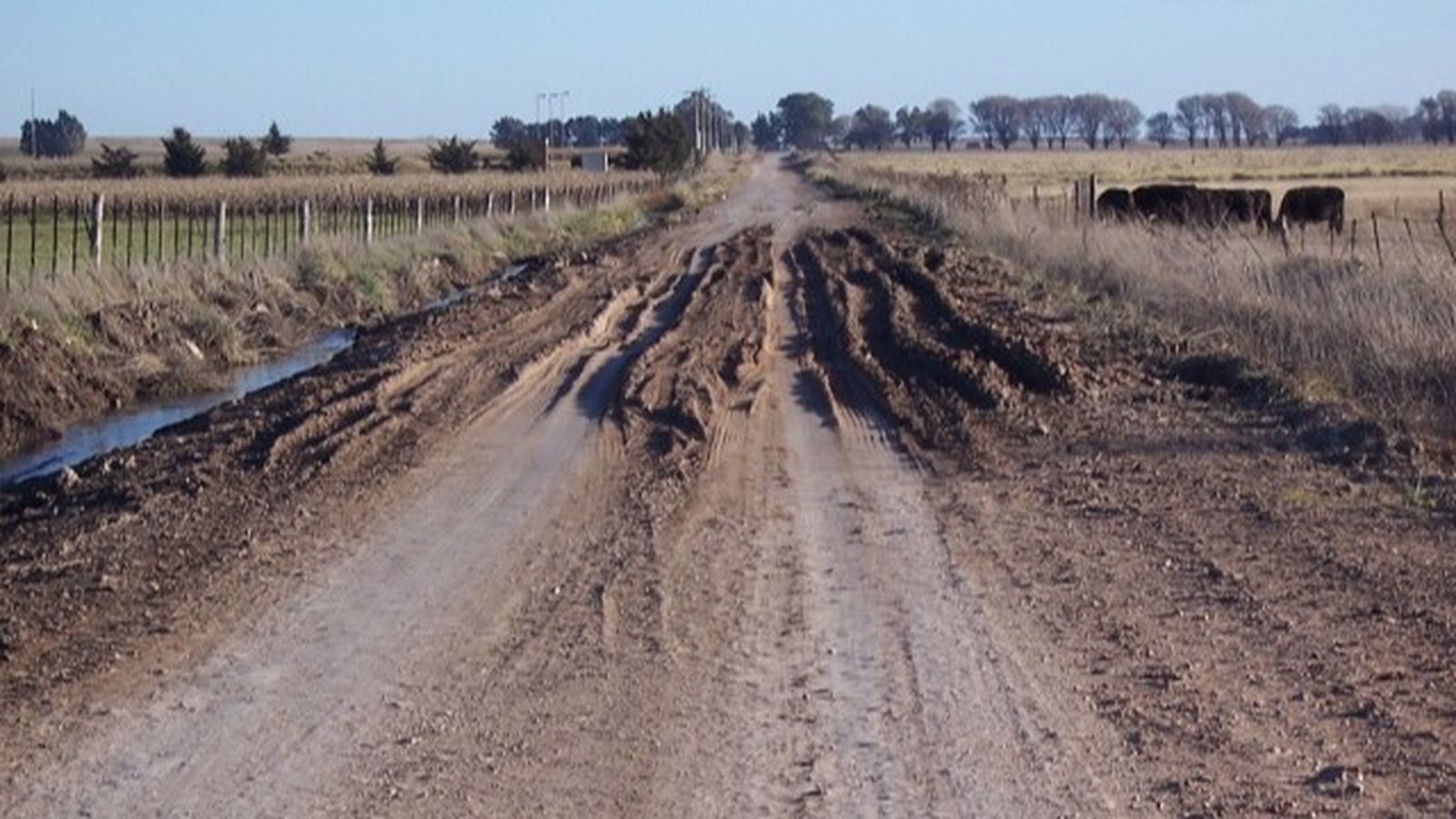 Caminos polvorientos