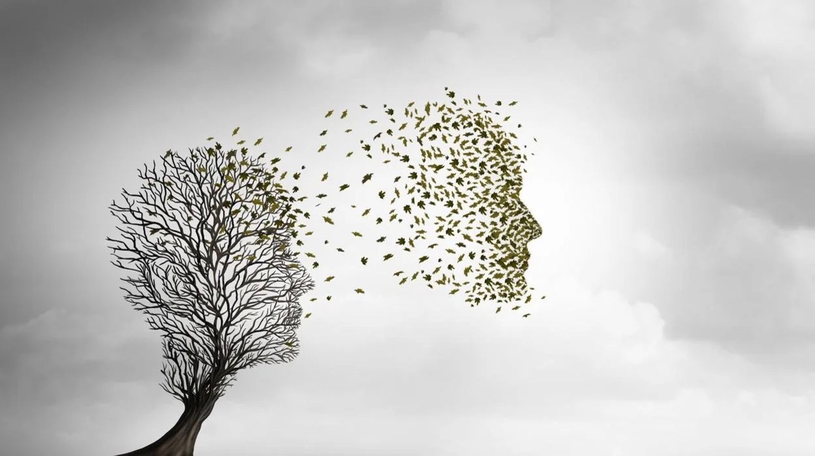 La pérdida de un ser querido