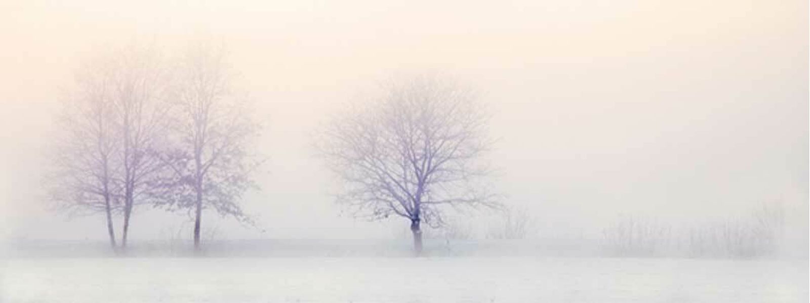 Bioética y Oncología