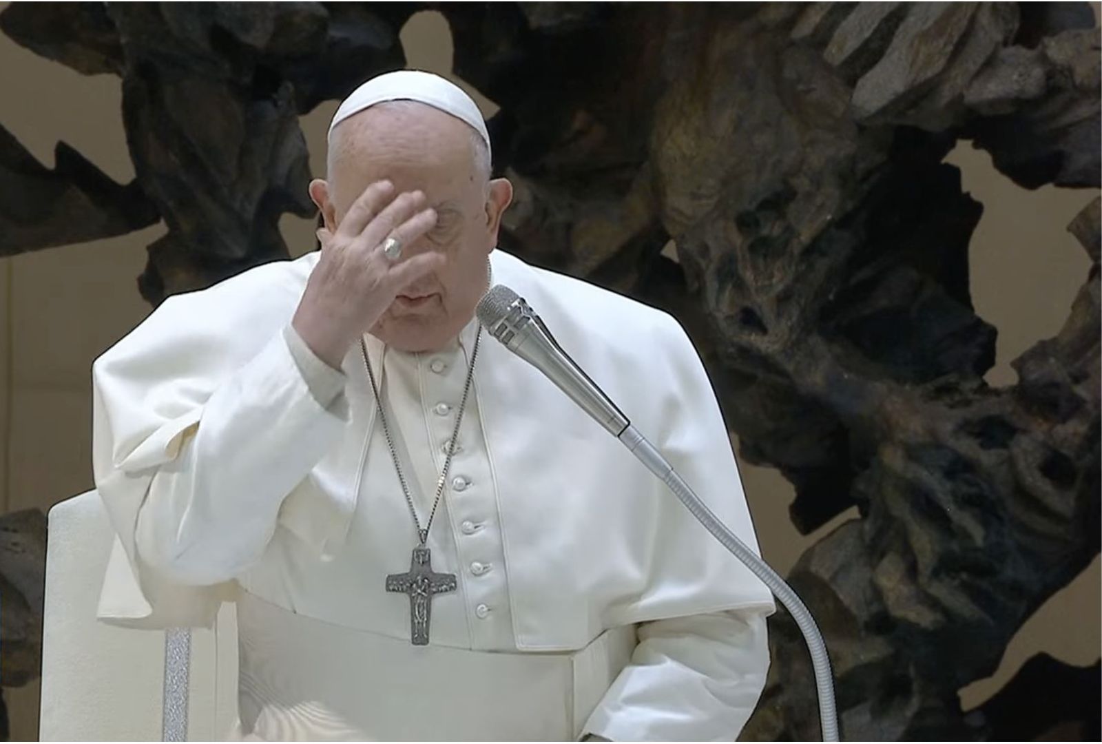 El Papa hace la señala de la cruz al inicio de la audiencia general