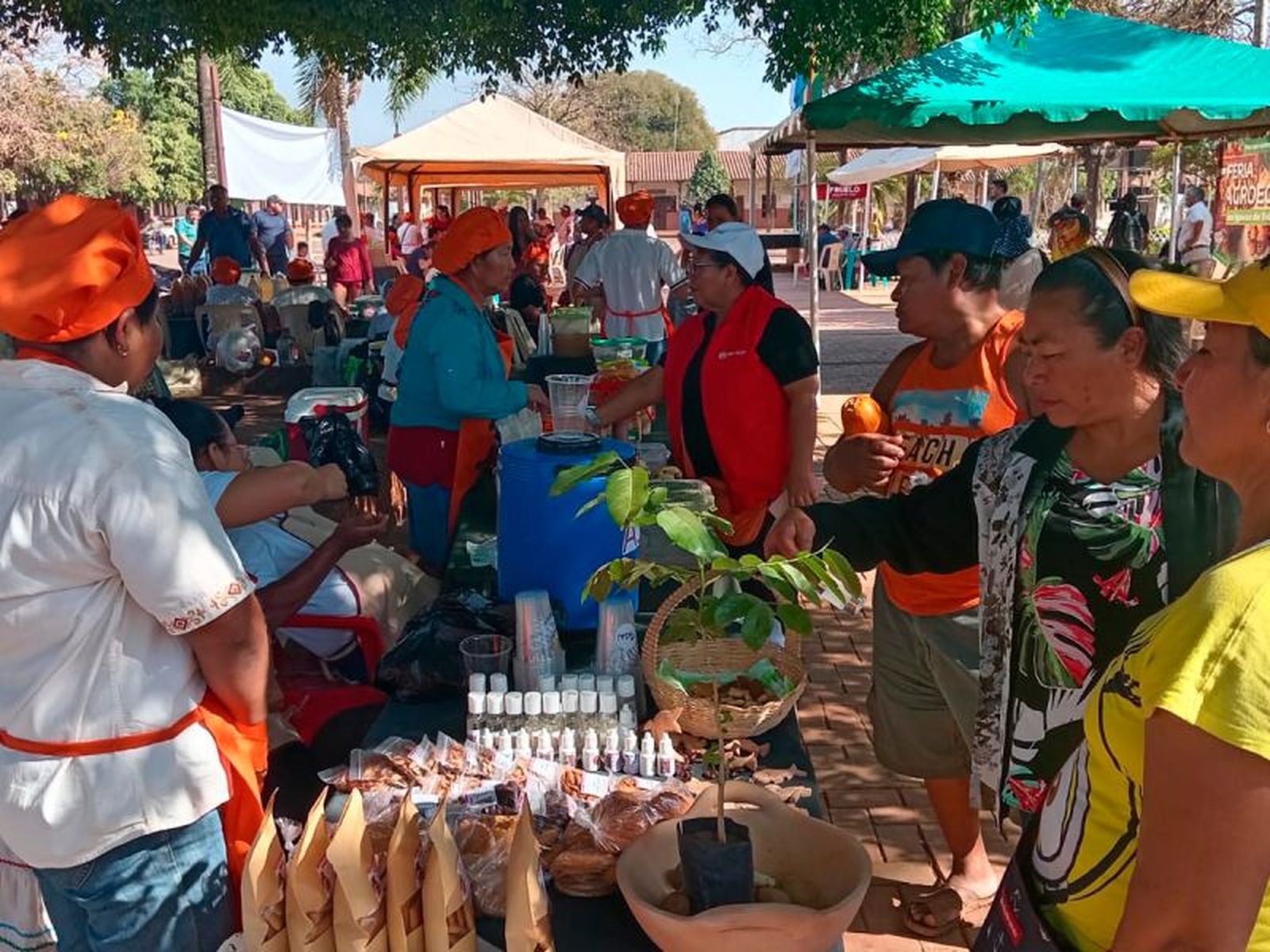 Transición ecológica y sistema económico justo