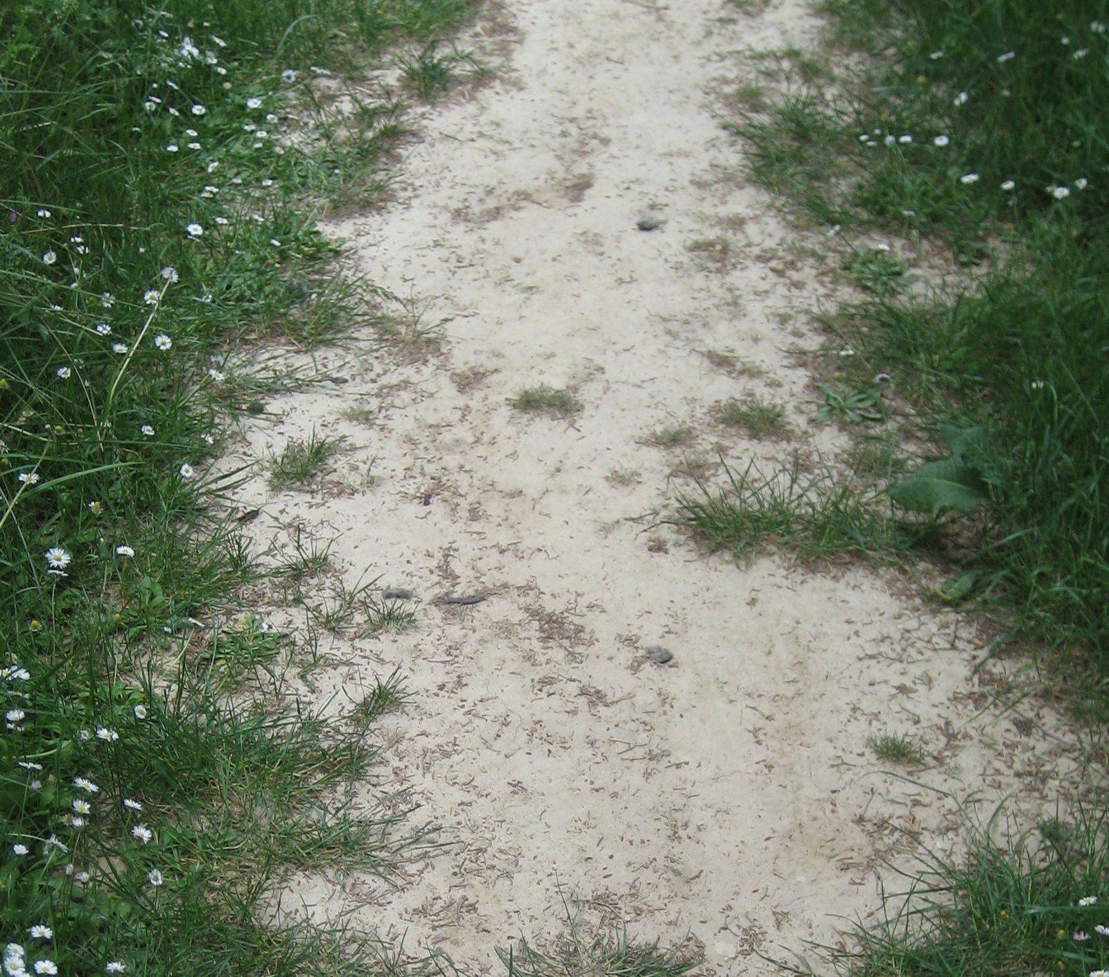 25 de mayo: Mes de María