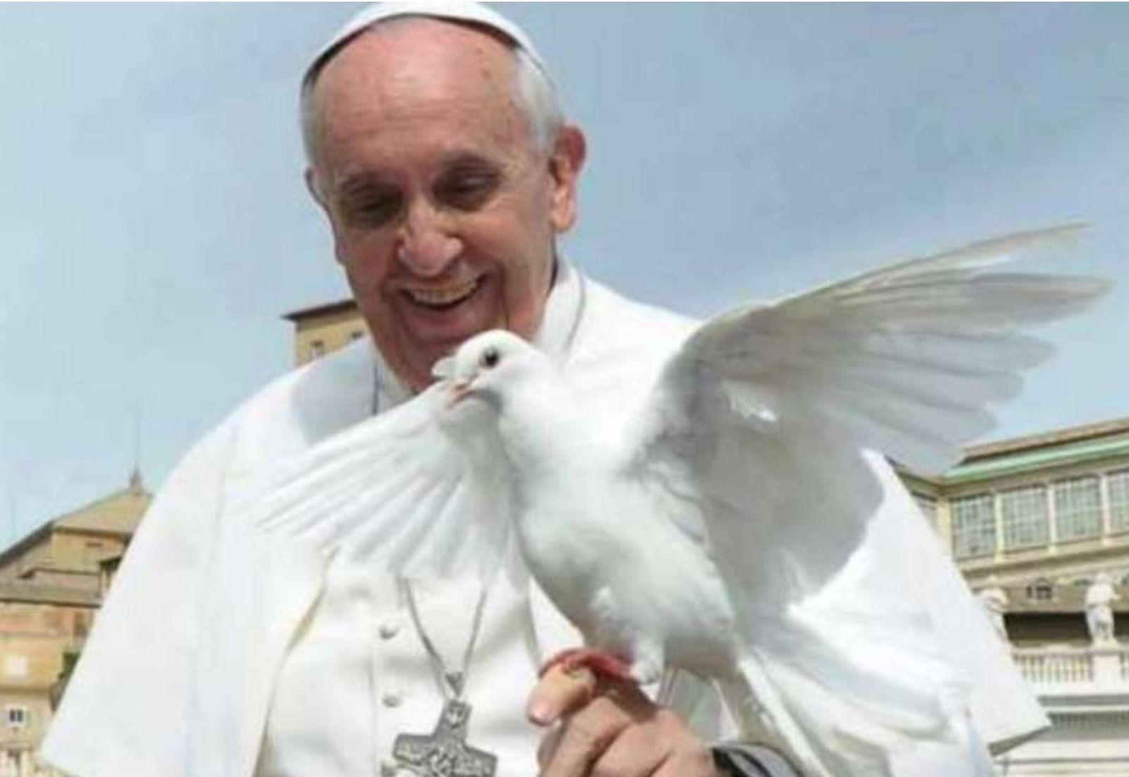El Papa y la paloma