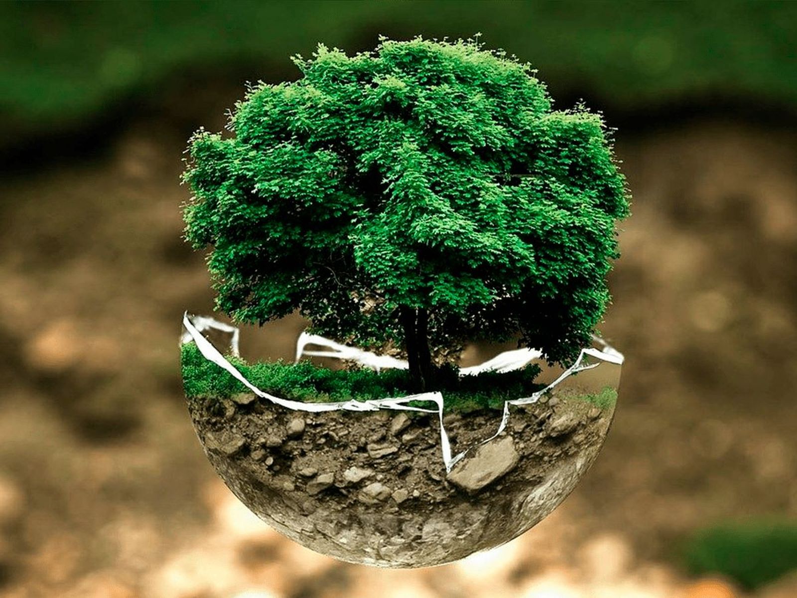 'Cumbre' católica en Madrid ante el desafío climático