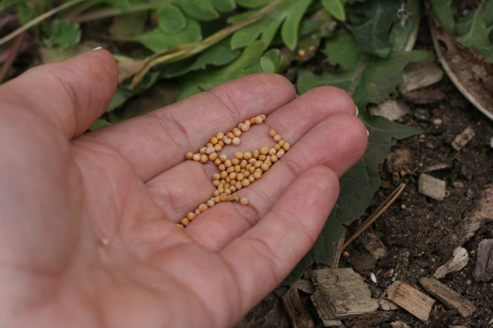 El don de la fe y de la misión encomendada