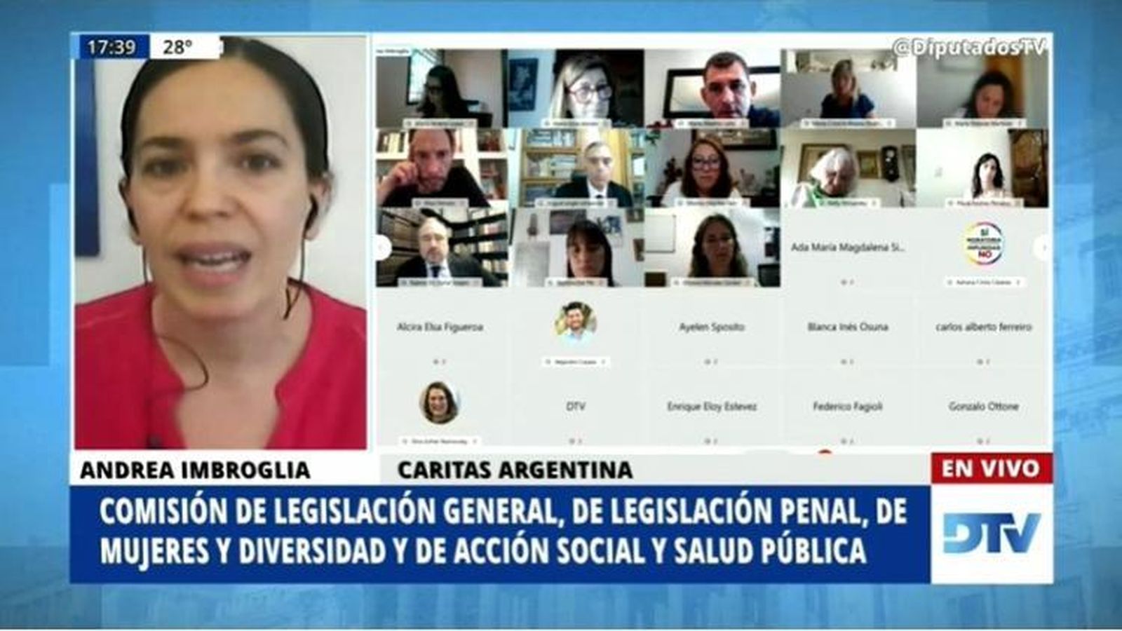 andrea imbroglia ante la Cámara de Diputados argentina