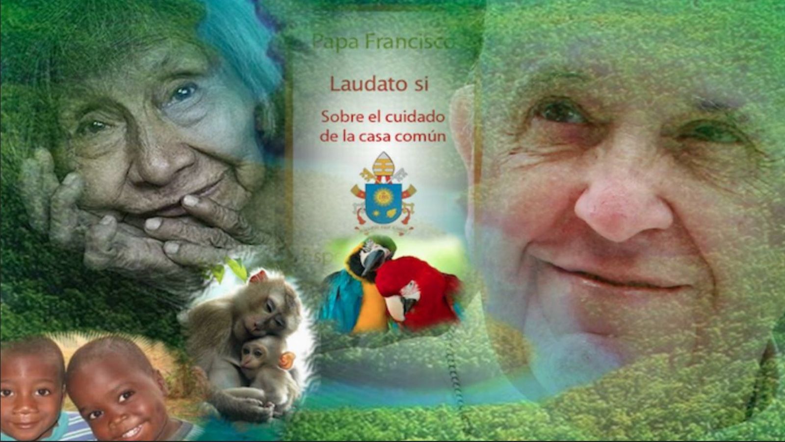 El Papa de la Laudato sii
