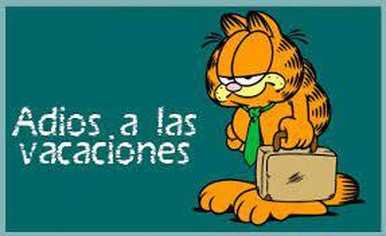 ¡Feliz reencuentro!