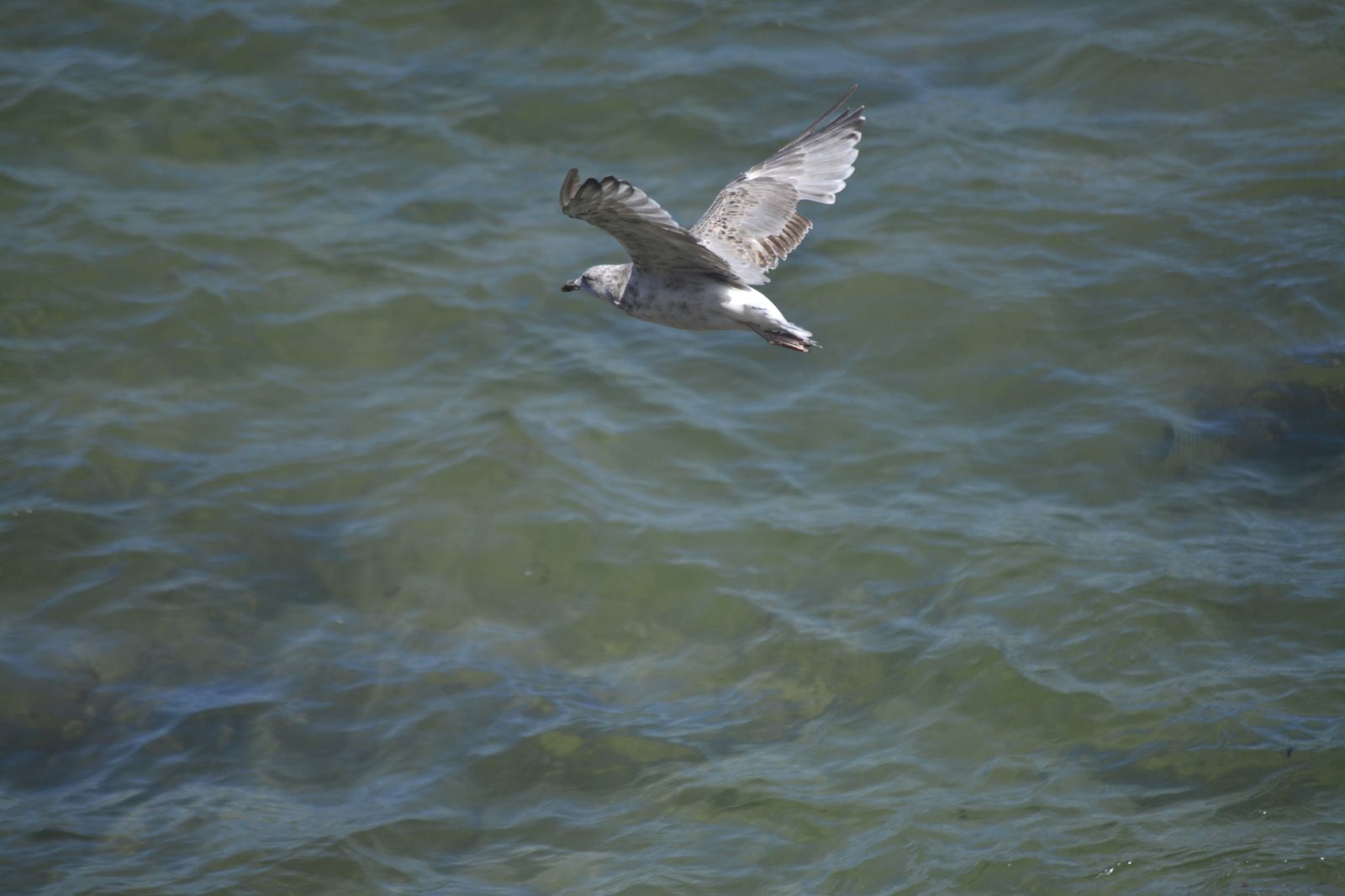 Ahora el peligro puede llegarles de la calle, por lo que aceptan las medidas de aislamiento