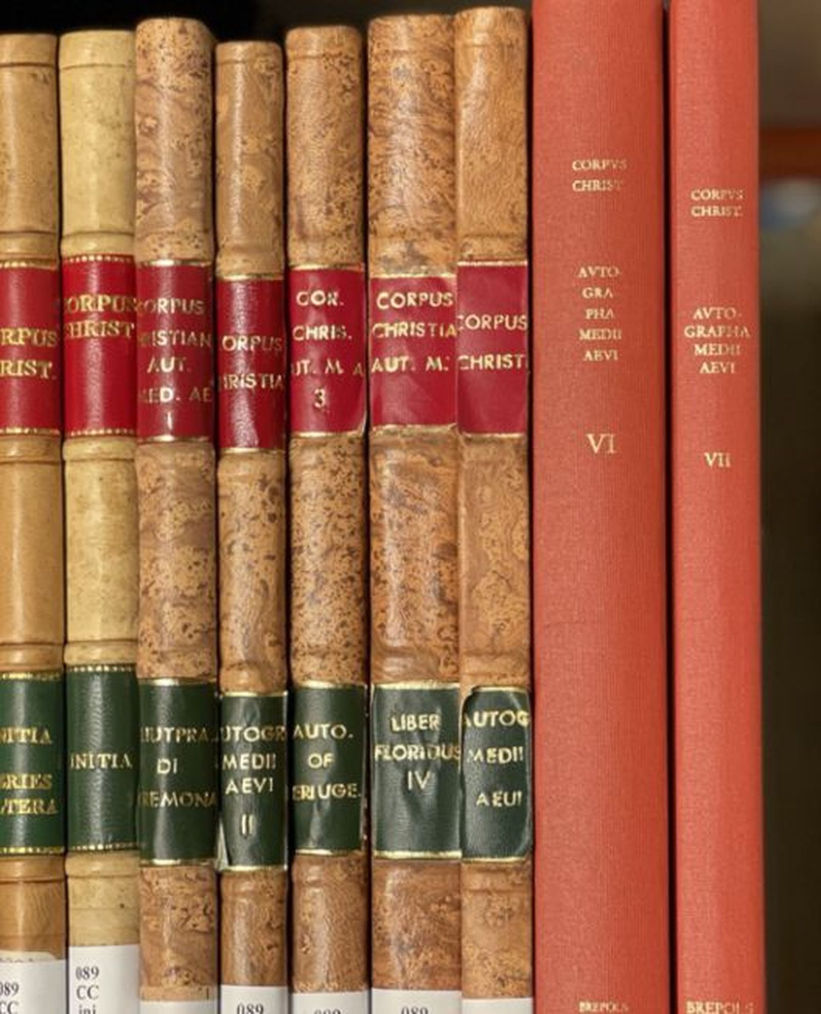 Biblioteca San Esteban