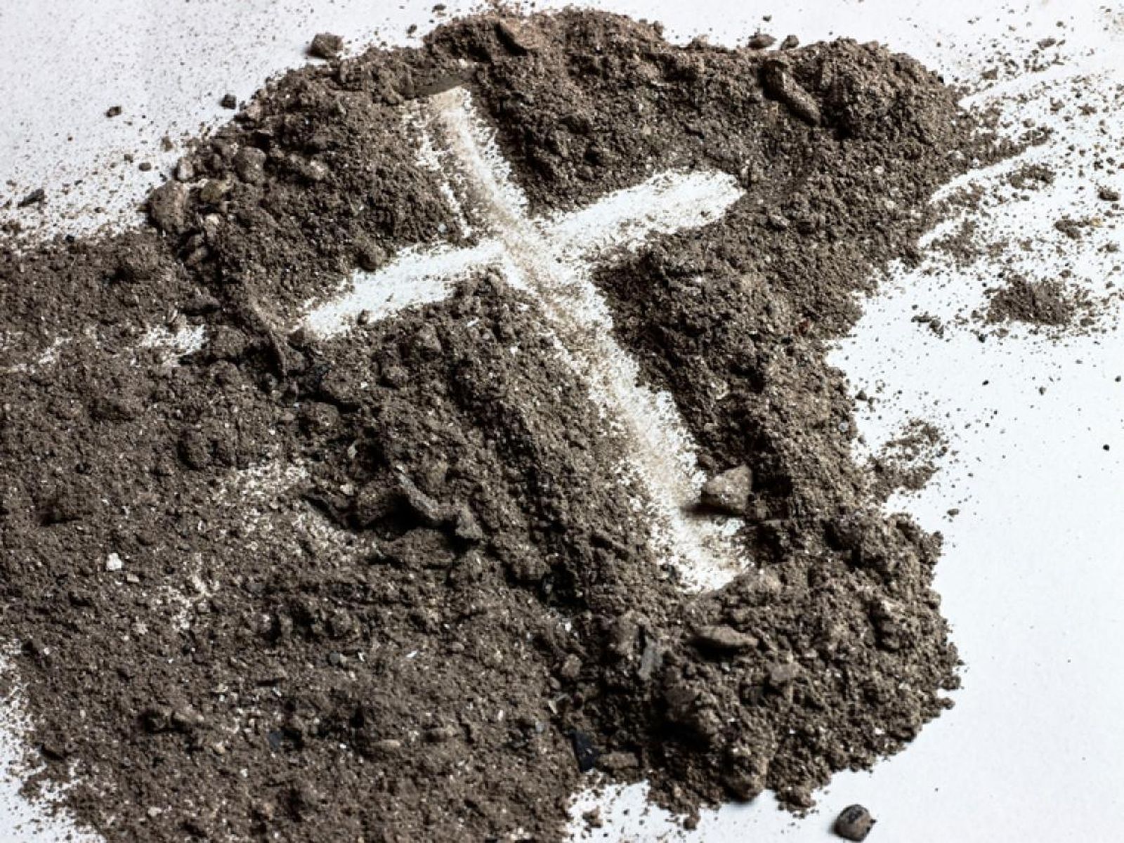 Diálogo, compromiso de amor y amistad social