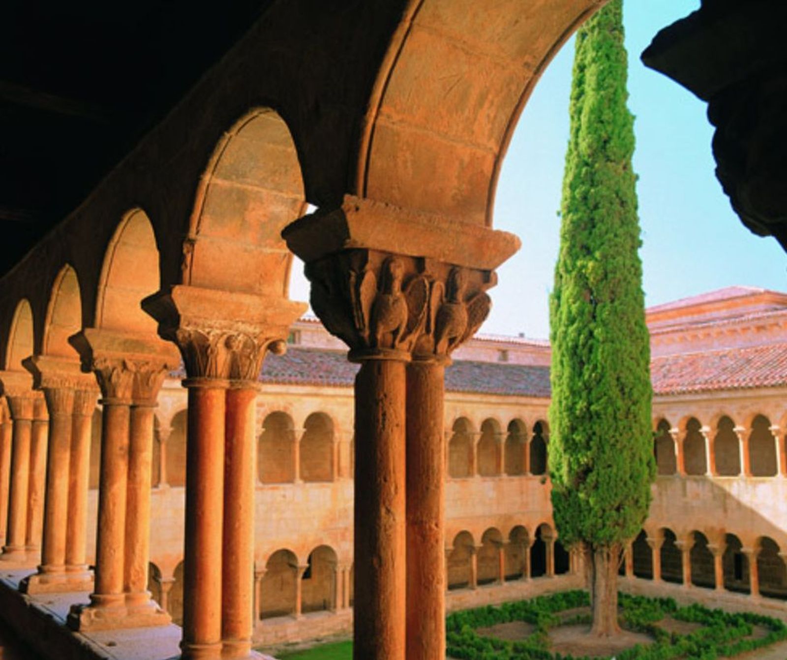 Ciprés en el claustro de Silos