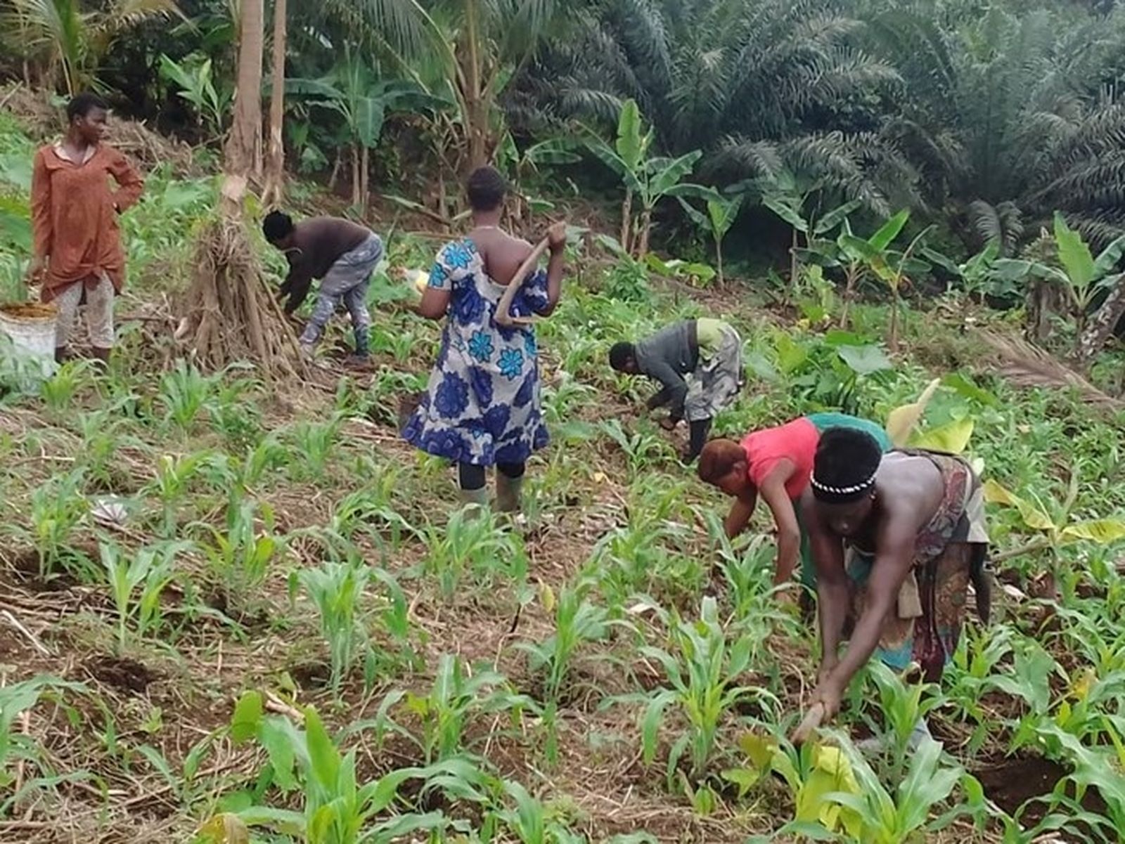 Manos Unidas. Camerún