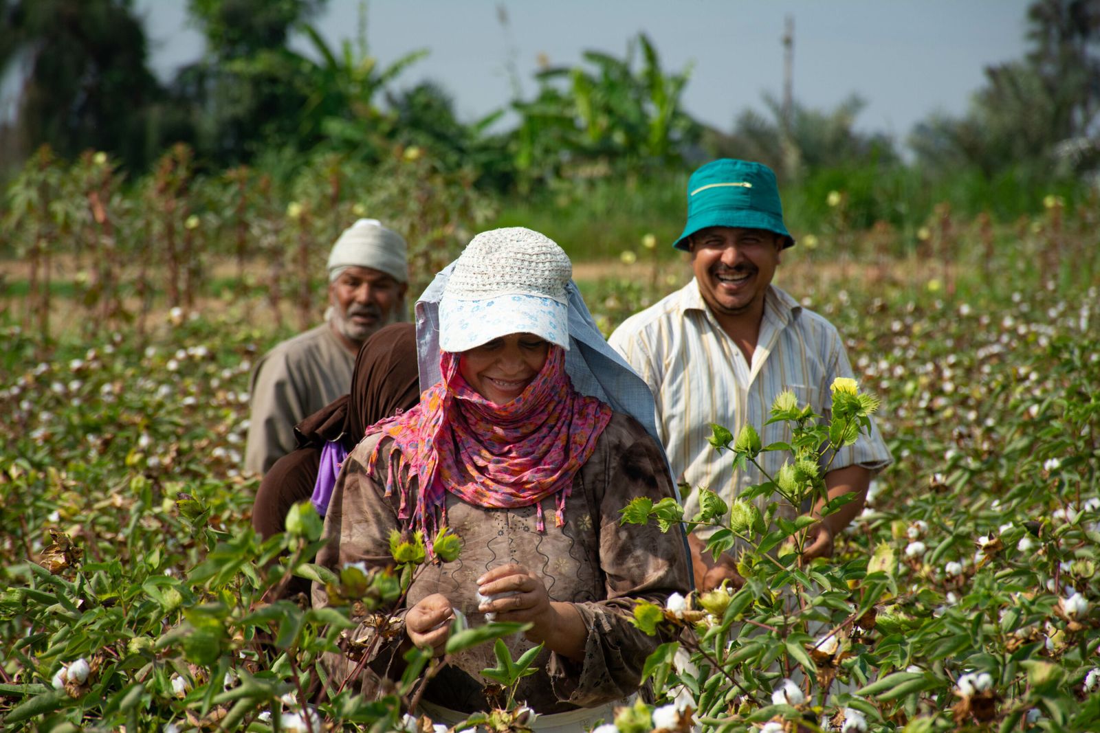 SEKEM y Oikocredit, en el Día Mundial del Agua