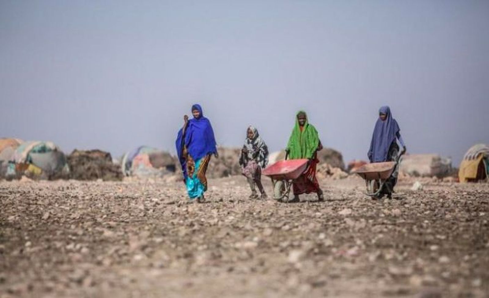 Sequía en Marruecos