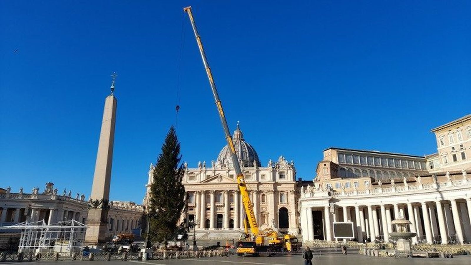 Instalación del árbol de Navidad en la Plaza de San Pedro (Foto de archivo)