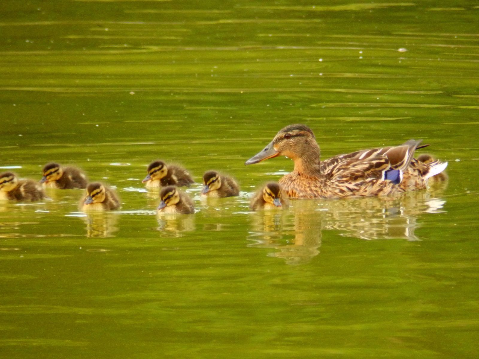 La Diócesis de Vitoria lanza un proyecto para parejas  con el ánimo de evitar rupturas