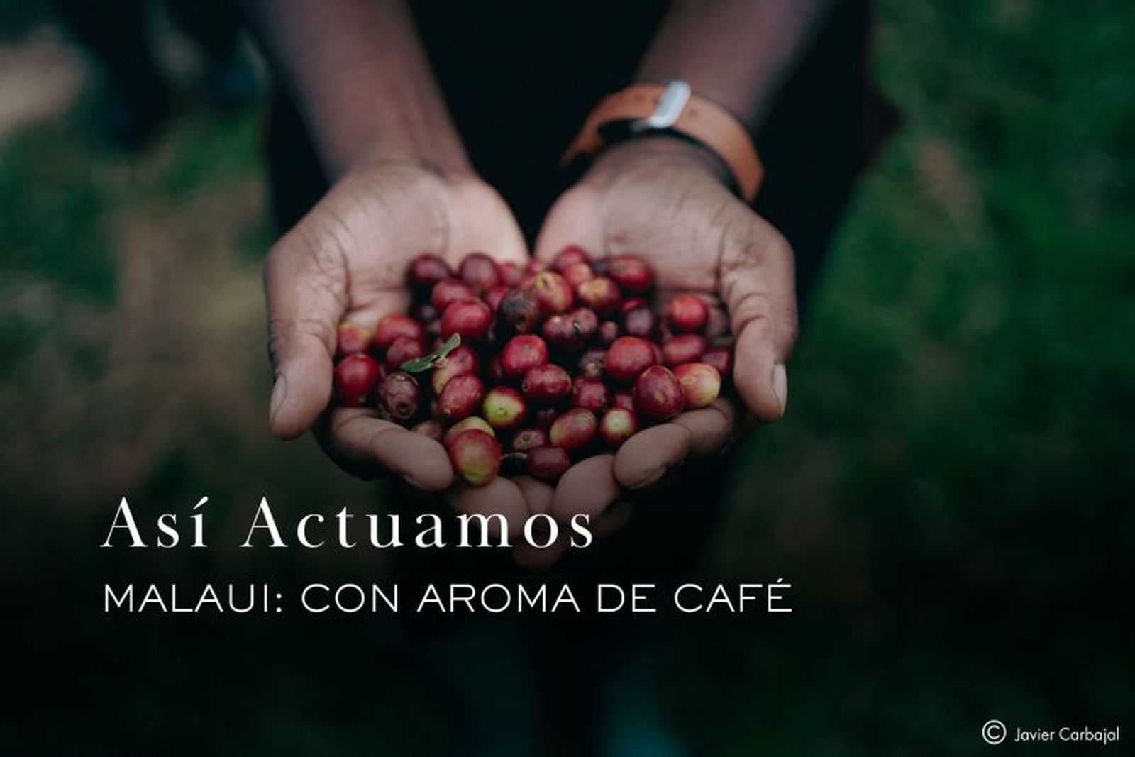 Granja Chipunga, Malaui