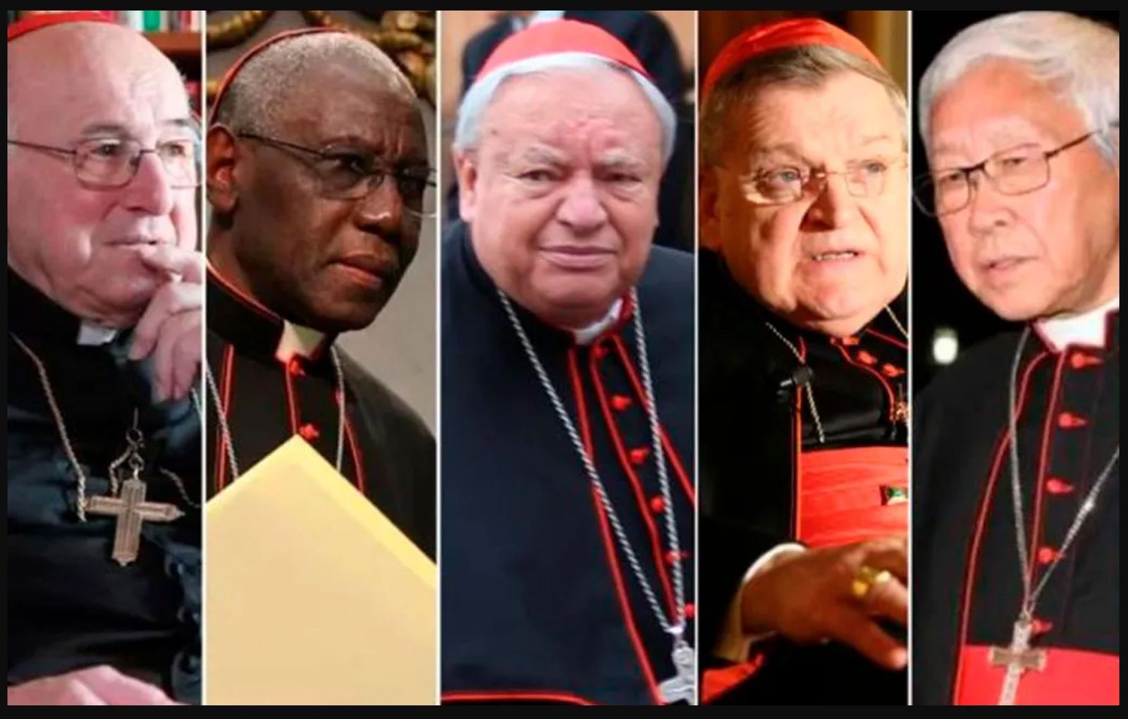 Cardenales de la dubia