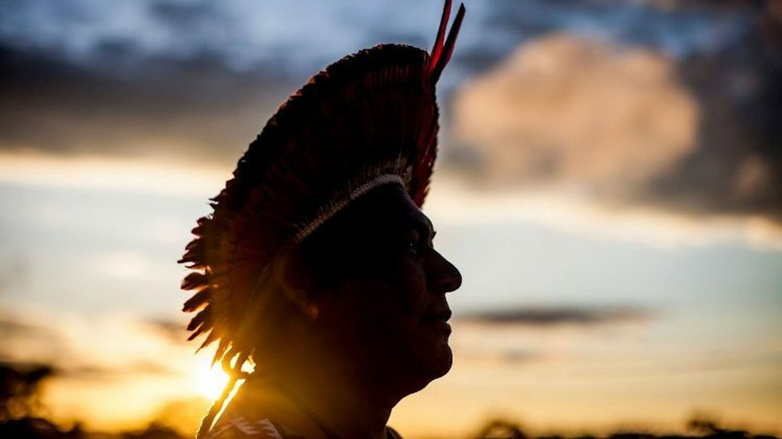 Sínodo para la Amazonía