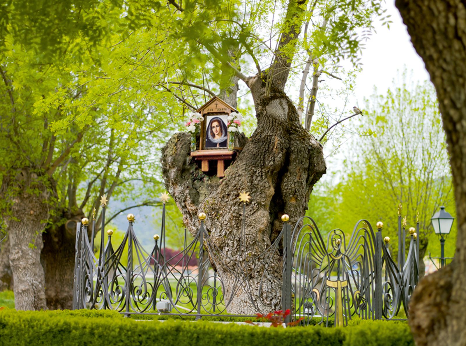 Fresno de Prado Nuevo