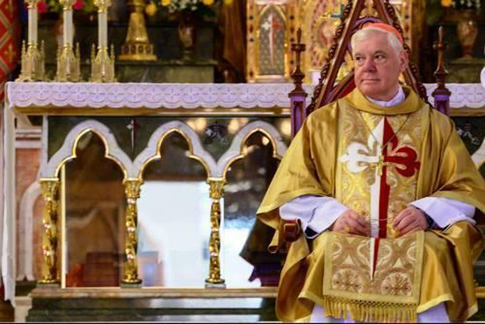 El cardenal Müller ladra, luego el Sínodo Amazónico cabalga