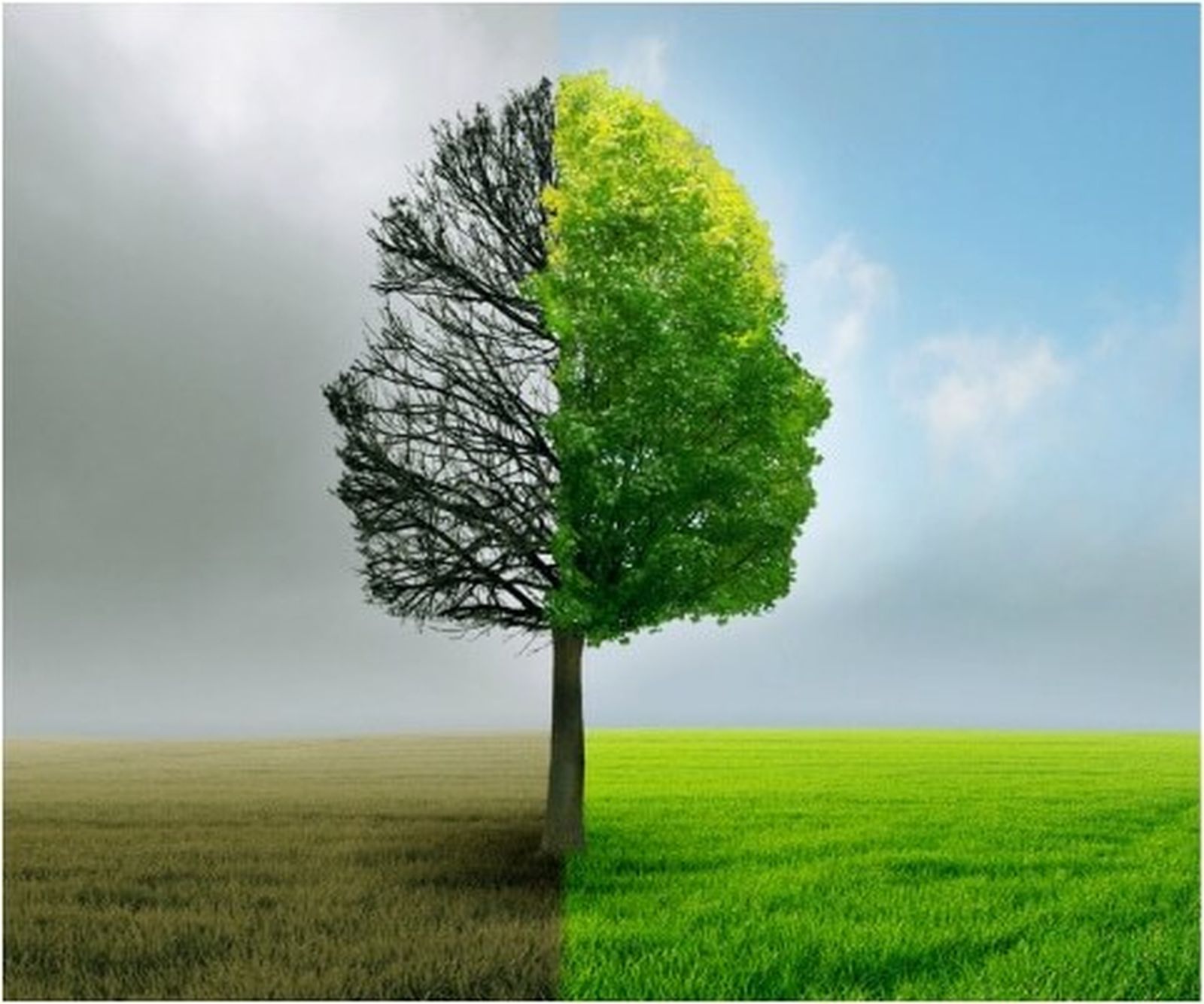 Hemos de evitar la destrucción del planeta