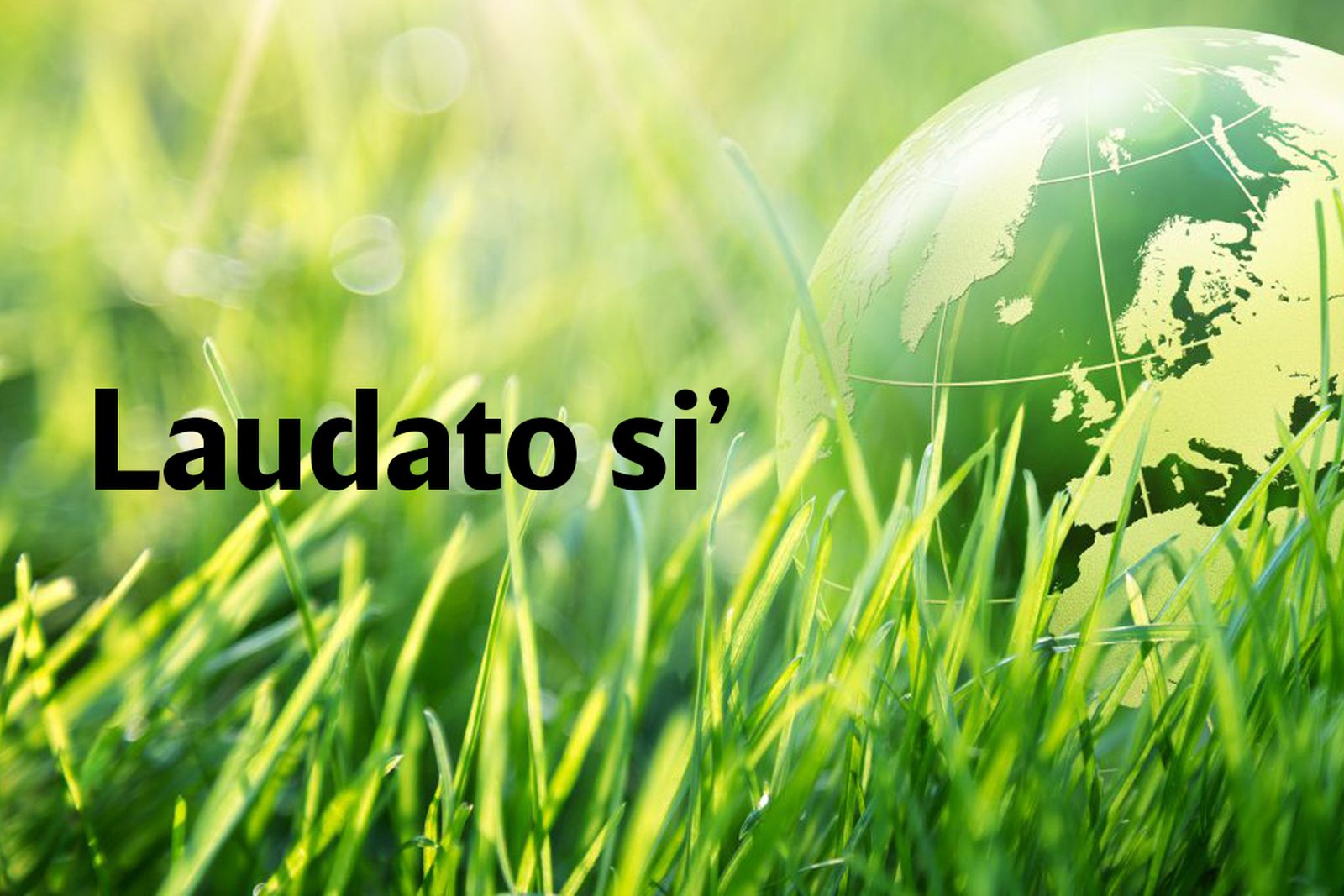 Magisterio, fe y moral en el 5° aniversario de Laudato Si