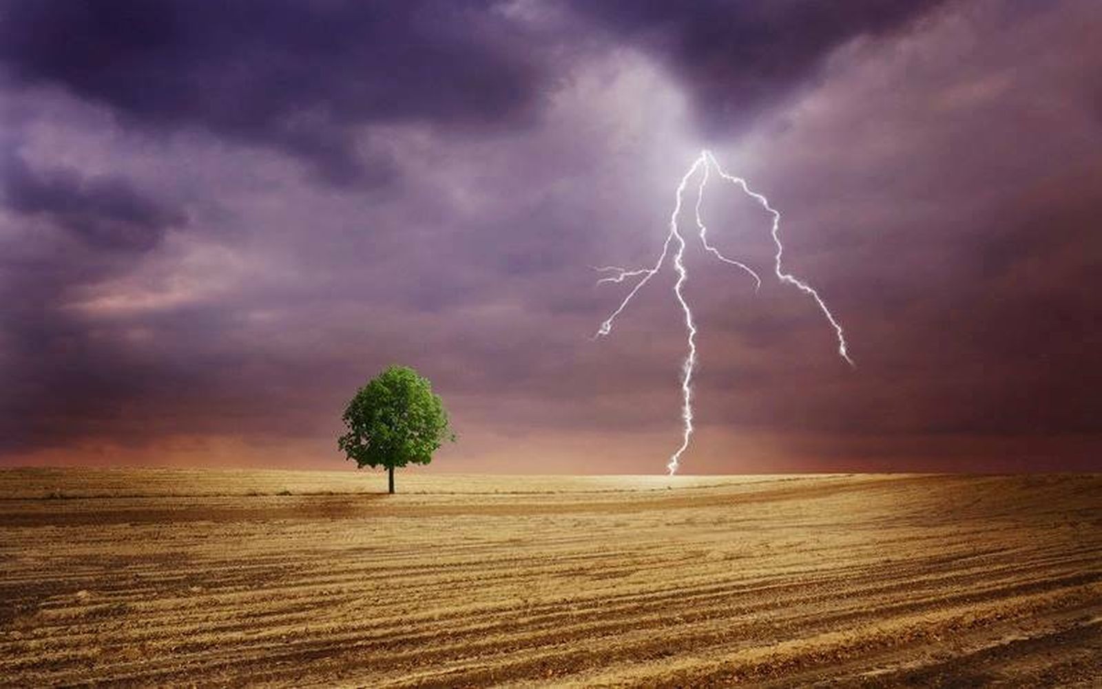 árbol-relámpago y oración