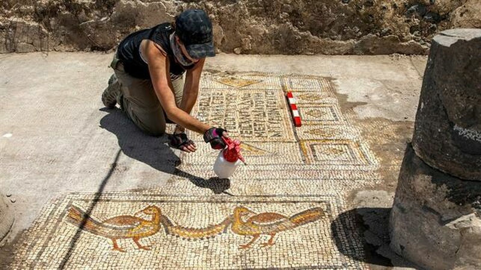 Fotografía facilitada por el Instituto Zinman de Arqueología de la Universidad de Haifa, de la arqueóloga Jessica Rentz limpia el mosaico, en la que se ven las figuras de dos aves y una inscripción en griego