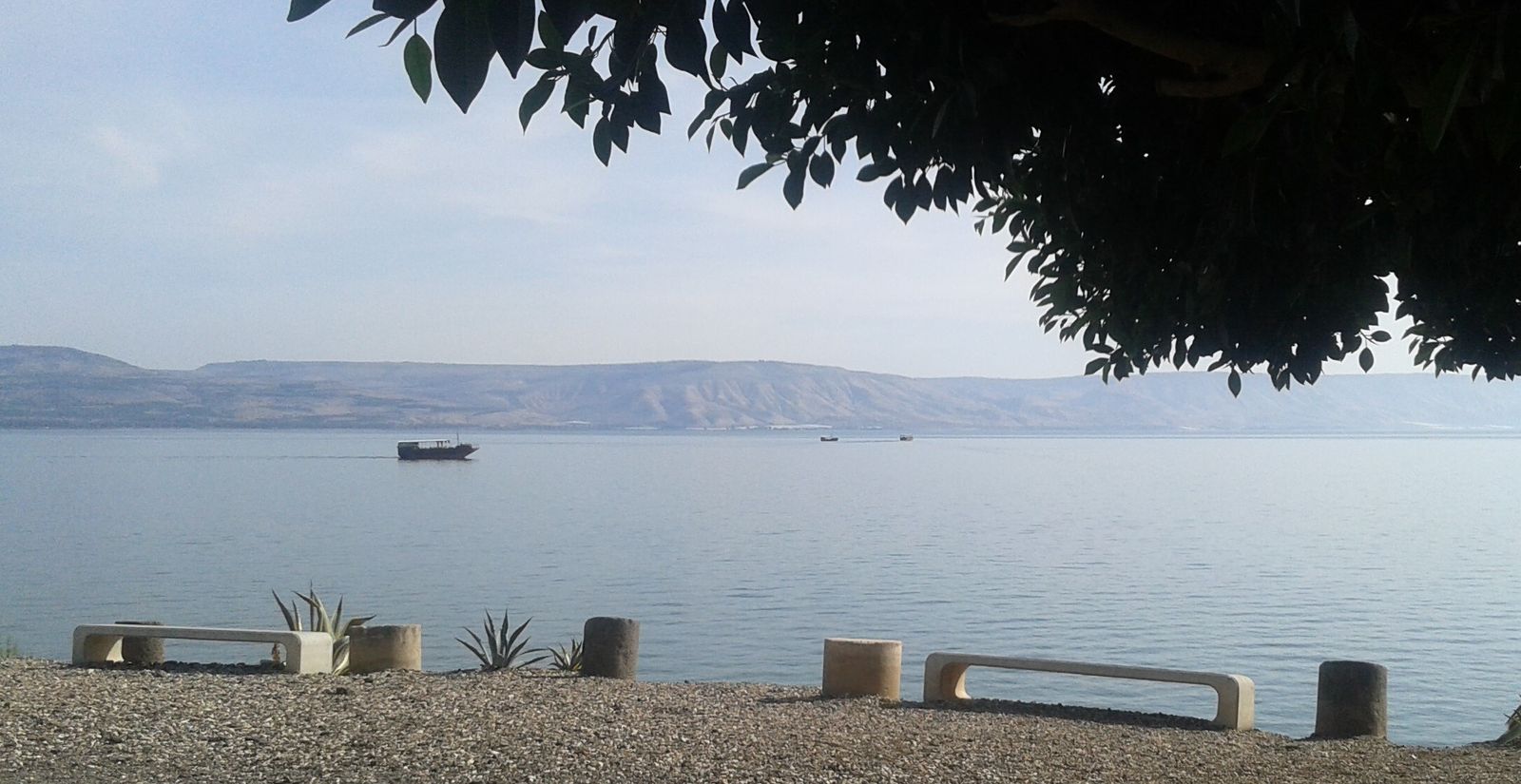 6 de Julio XIV Domingo Tiempo Ordinario