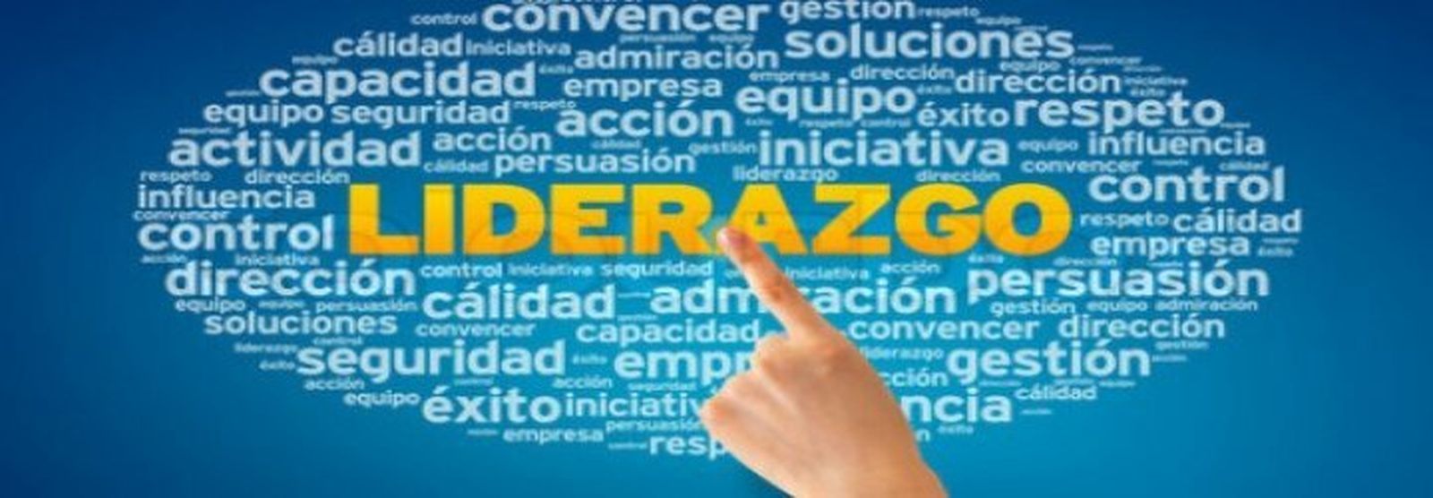 Liderazgo