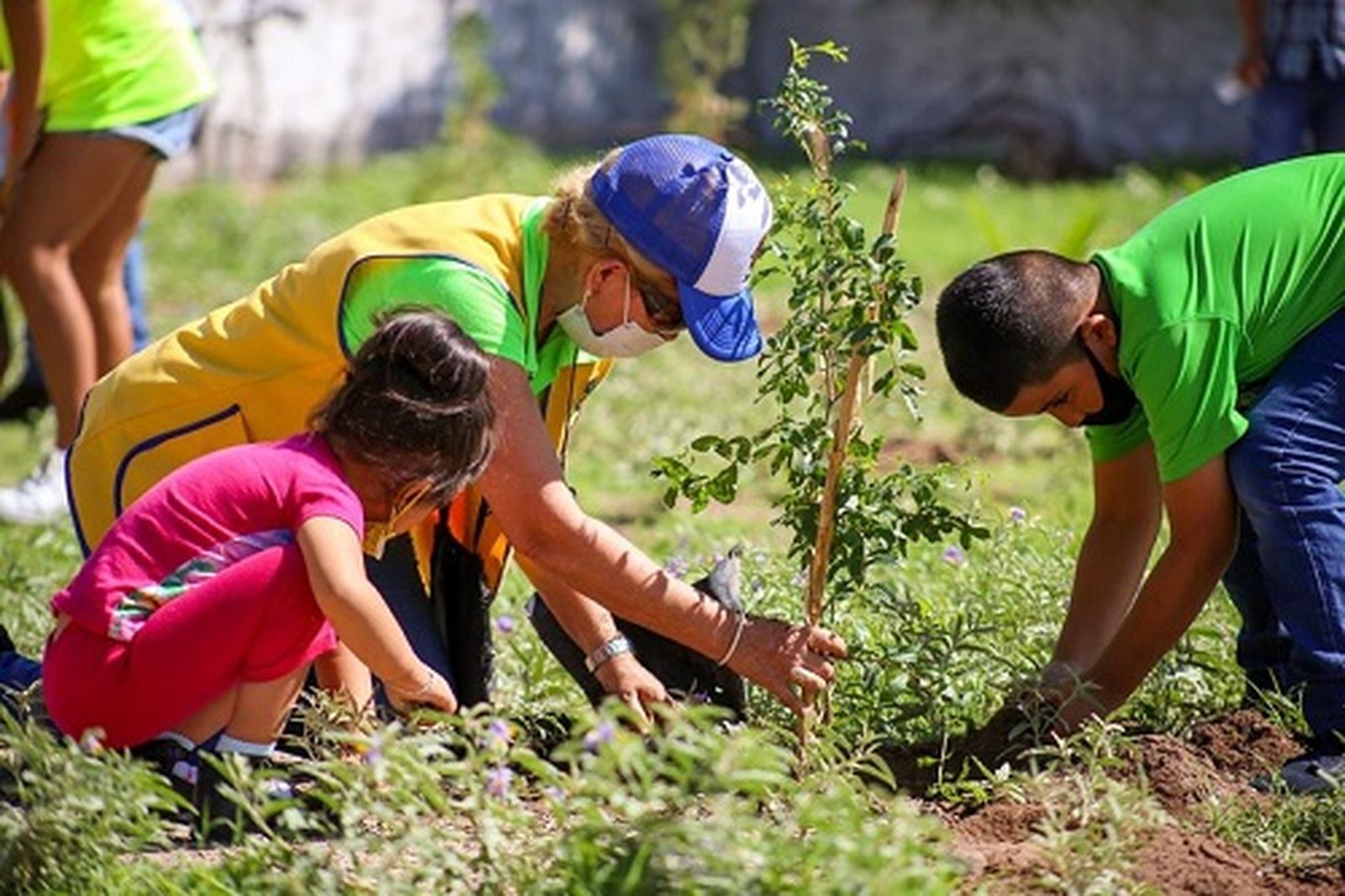 Reforestacion Comunitaria