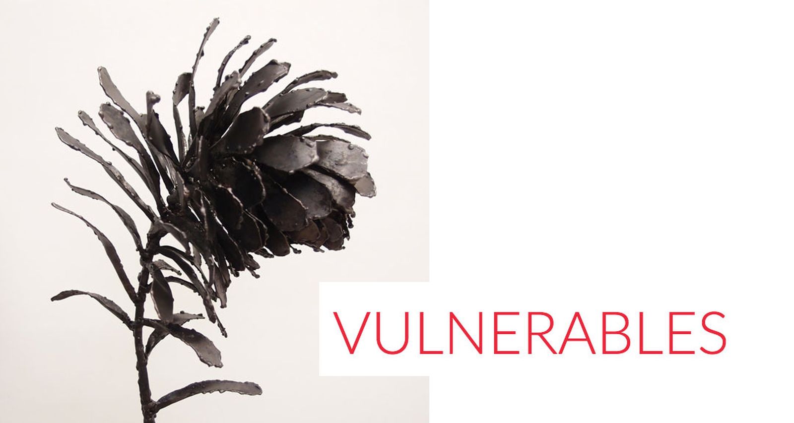 Vulnerables