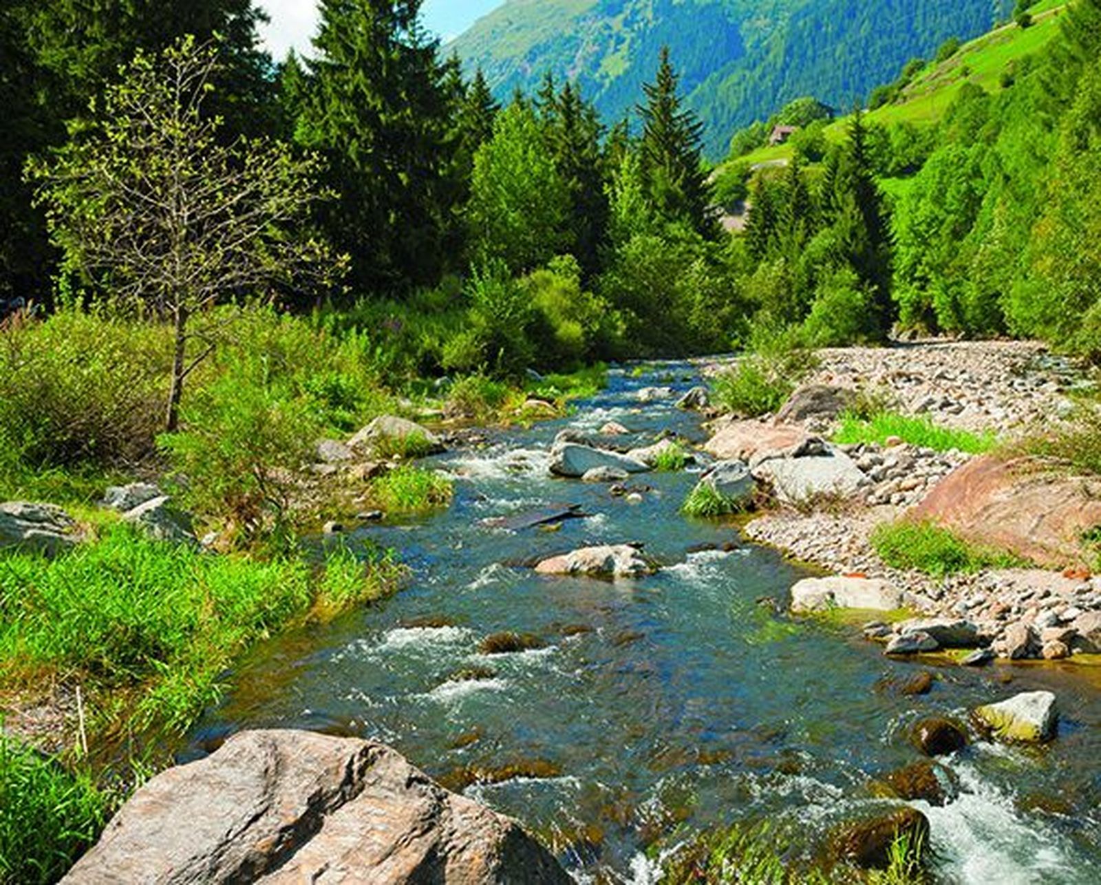 El cuidado de la creación