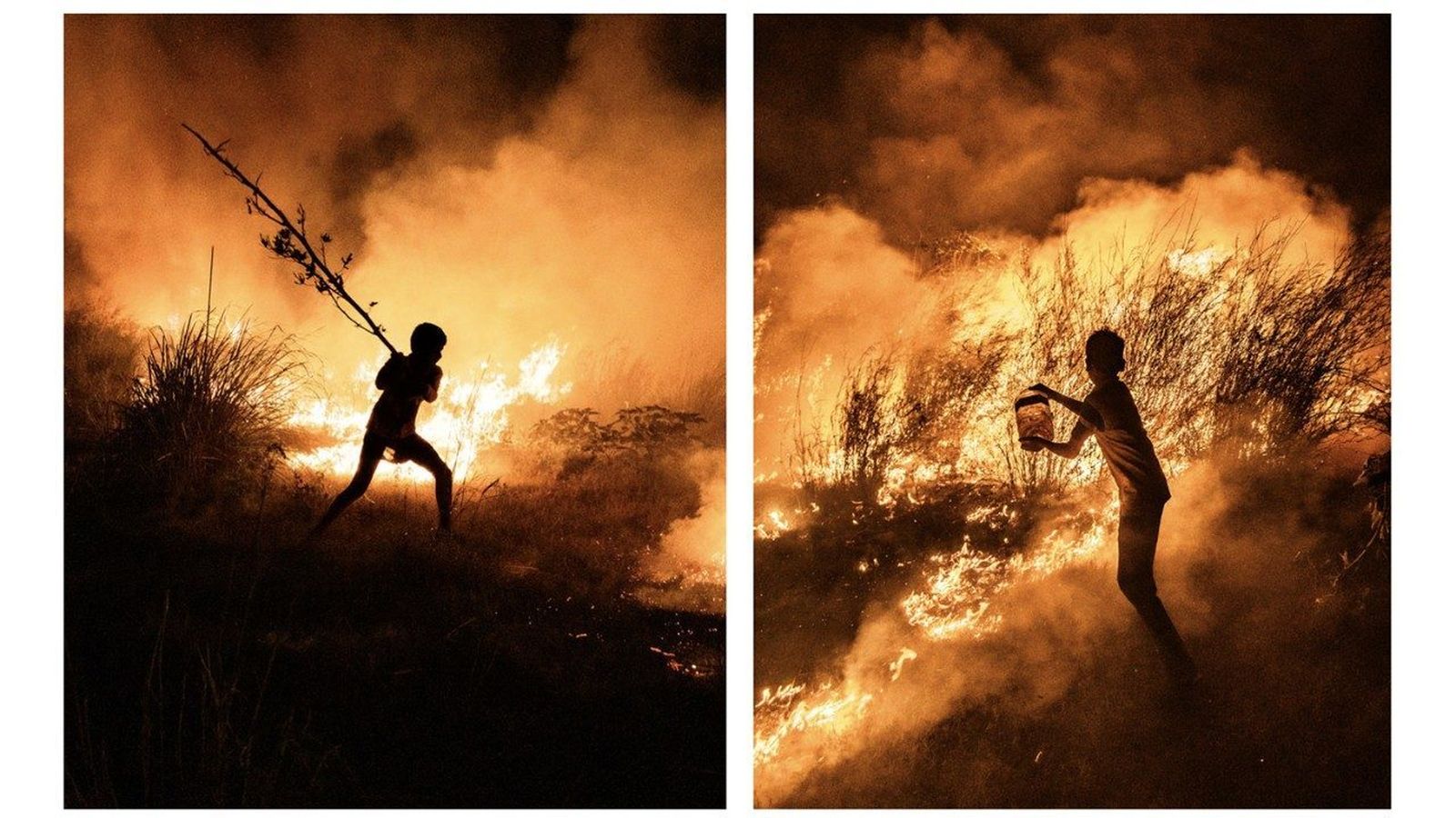 La exposición Earth Partner en Borgo Laudato si'