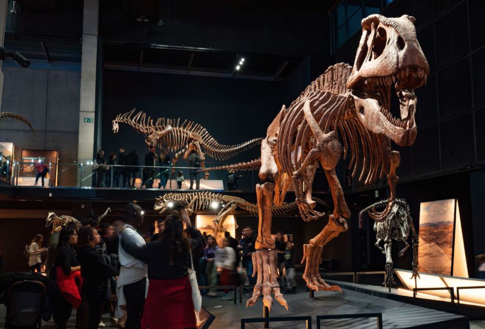 Exposición Dinosaurios de la Patagonia en el Museo de la Ciencia CosmoCaixa, en Barcelona.