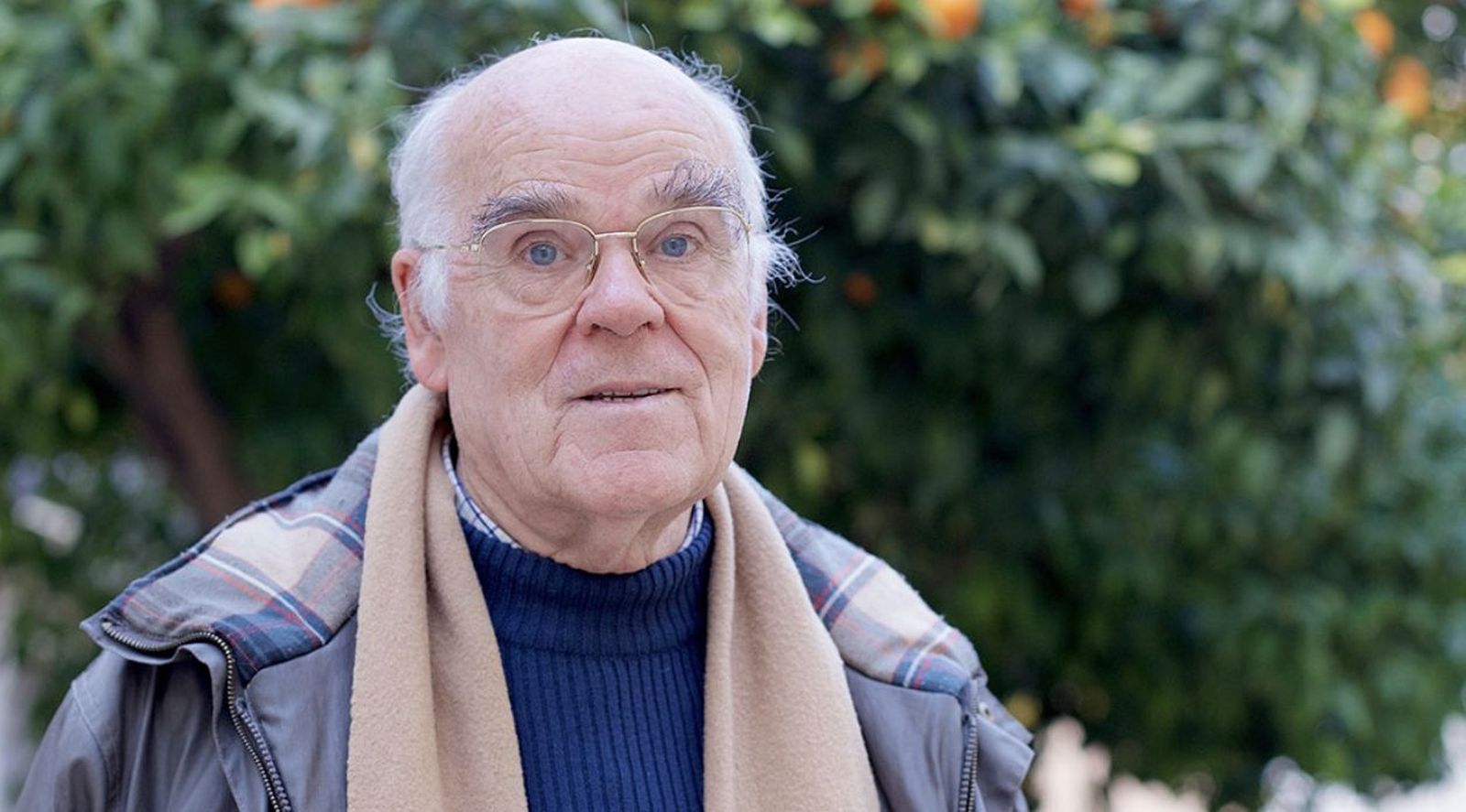 Vicente Collado Bertomeu