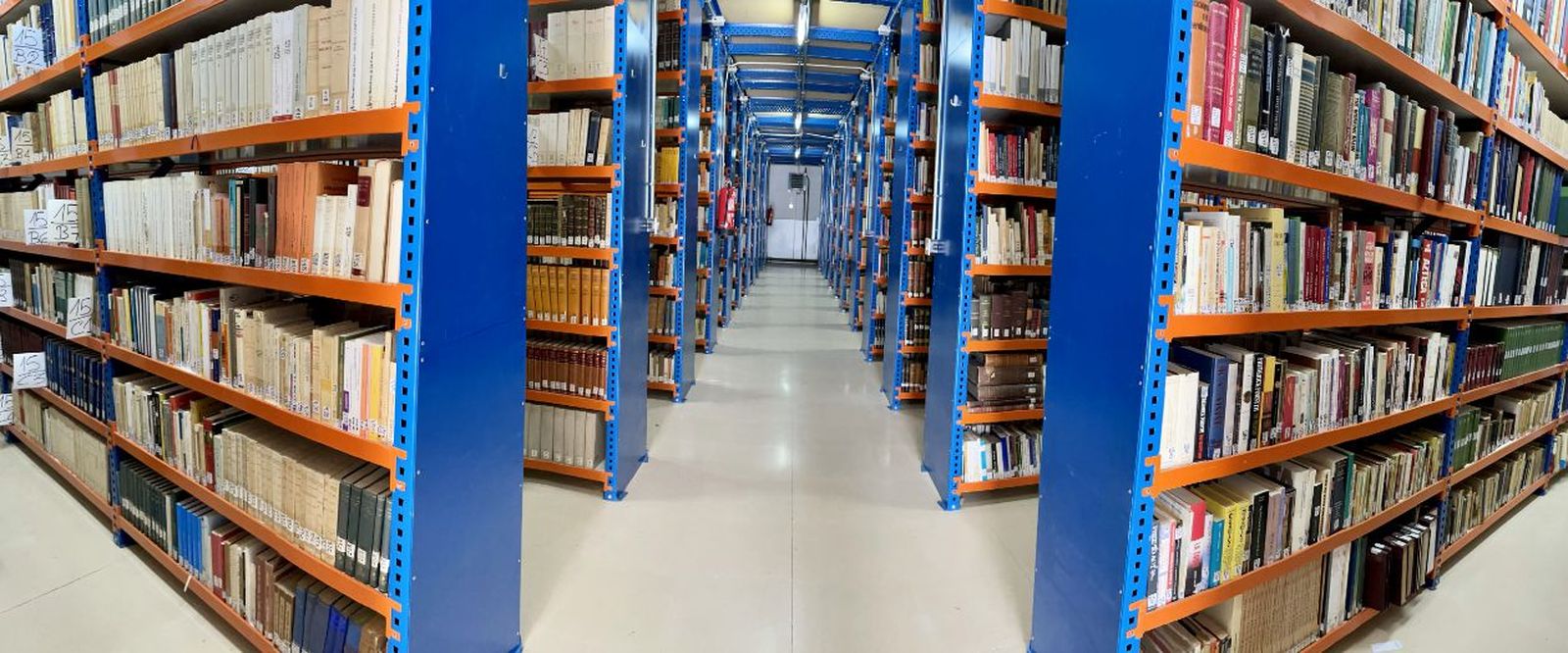 Biblioteca San Esteban