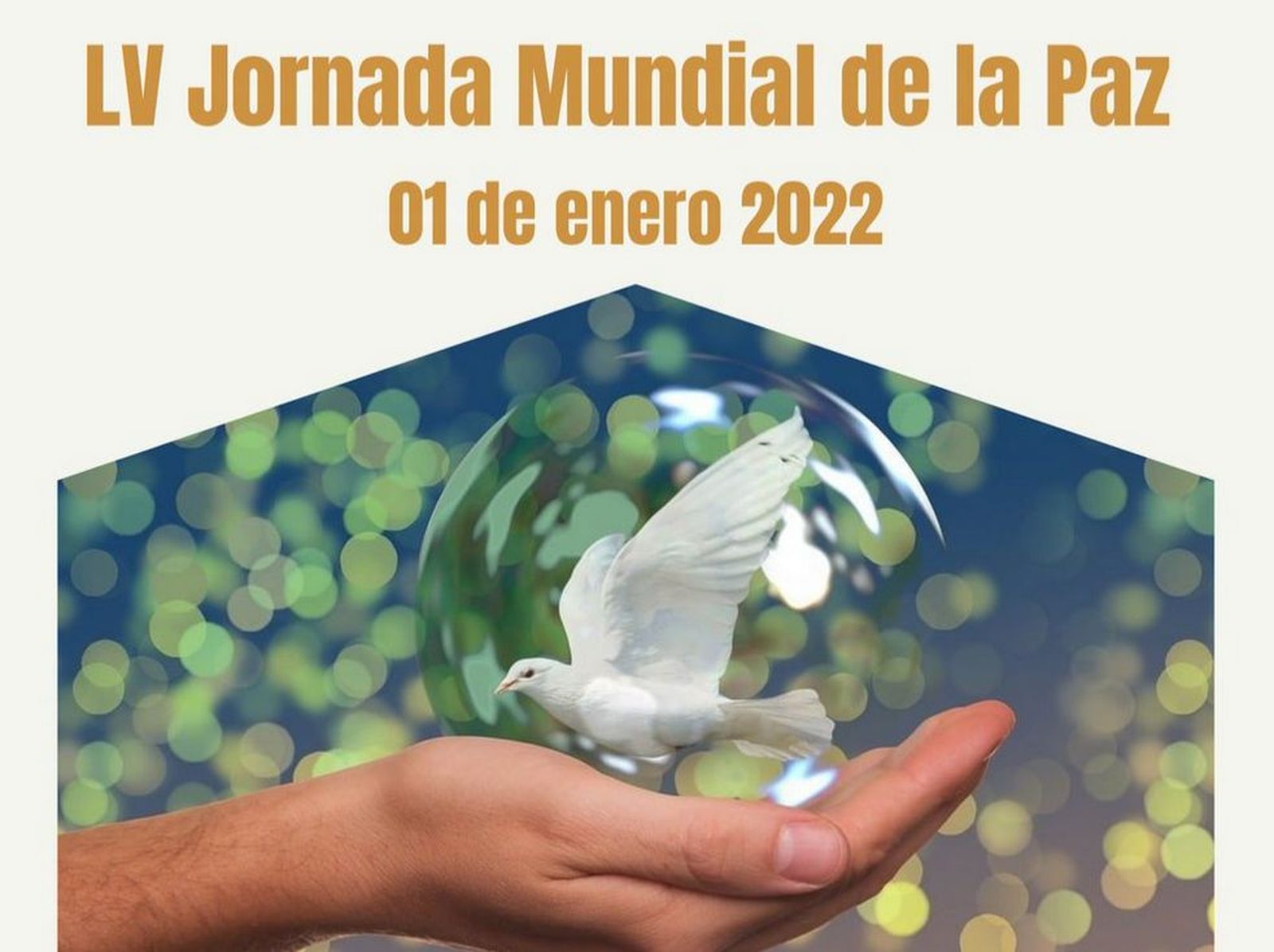 LV Jornada Mundial de la Paz